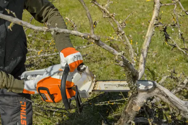 Gloved hands cutting through a fallen tree branch with a STIHL MSA 220 battery chainsaw
