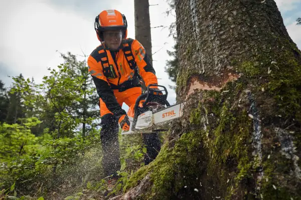 Forestry worker in full STIHL protective gear felling a large tree with a petrol chainsaw